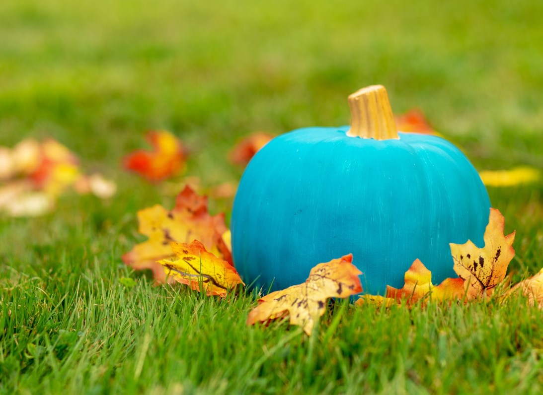 BlogImage TealPumpkins Oct2019