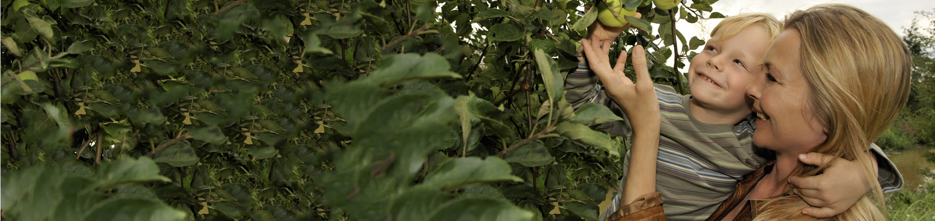 Mother outside with son touching tree