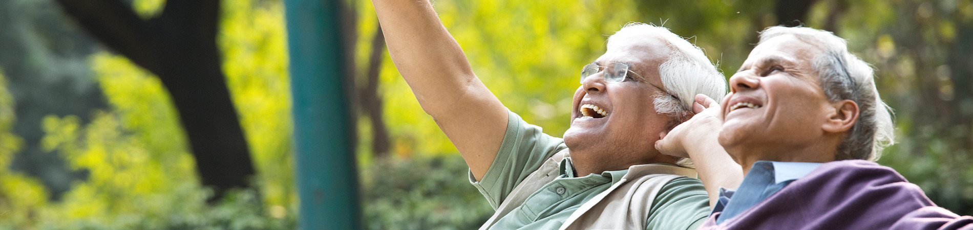 Older men on a park bench smiling and pointing at the sky